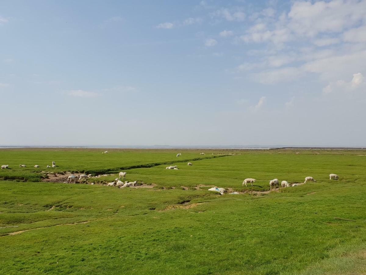 Kleines Haeuschen Am Deich, Vor Den Toren Von Sylt Villa Emmelsbüll-Horsbüll Esterno foto