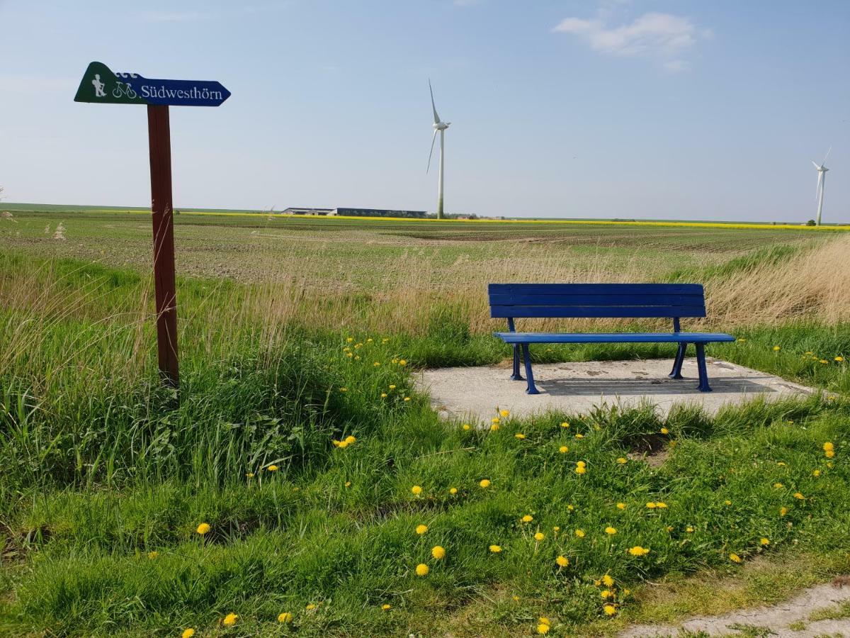 Kleines Haeuschen Am Deich, Vor Den Toren Von Sylt Villa Emmelsbüll-Horsbüll Esterno foto