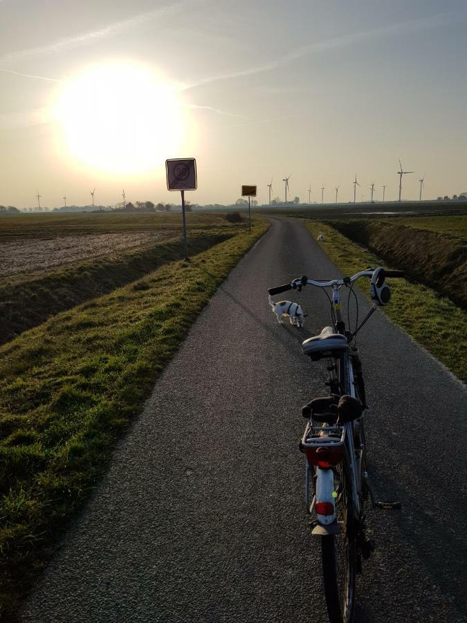 Kleines Haeuschen Am Deich, Vor Den Toren Von Sylt Villa Emmelsbüll-Horsbüll Esterno foto